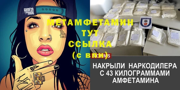 трава Аркадак