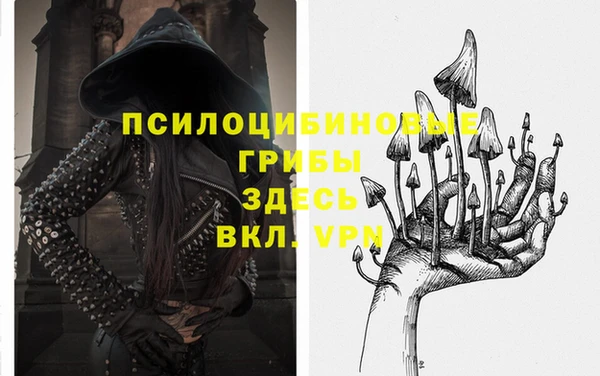 трава Аркадак