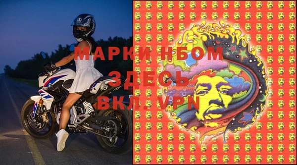 трава Аркадак