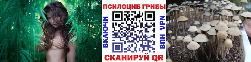 Галлюциногенные грибы прущие грибы  Оса 